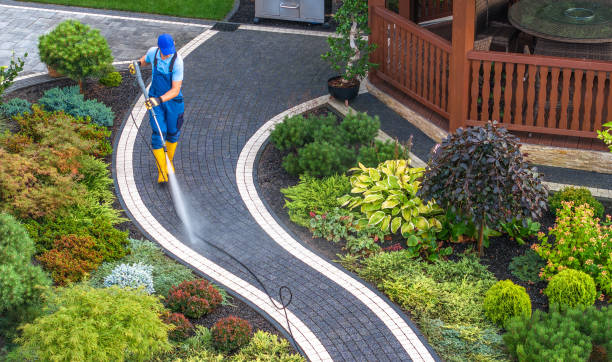 Best Pressure Washing Services Near Me  in Hearne, TX